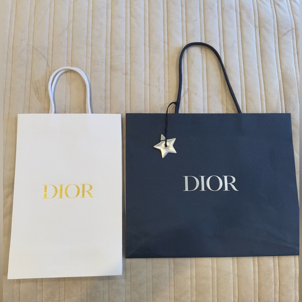 Dior Blue and White Luxury Bags
